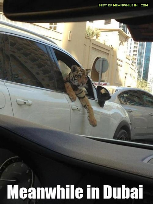 Meanwhile in Dubai
