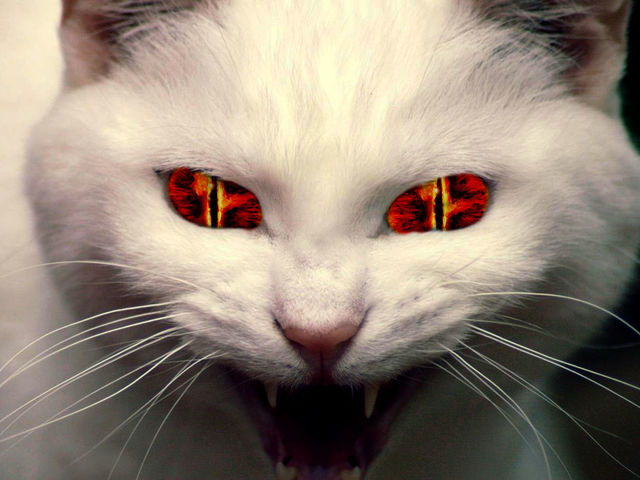 Are You Secretly Evil?