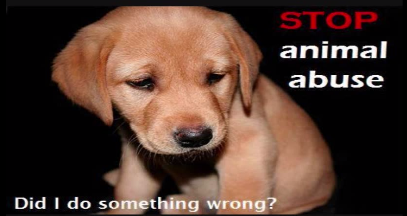 I pledge Against Animal Cruelty