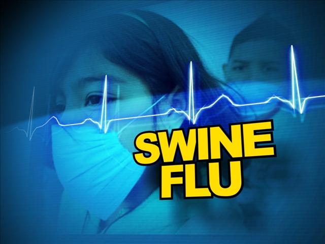 Things That You Must Know About Swine Flu