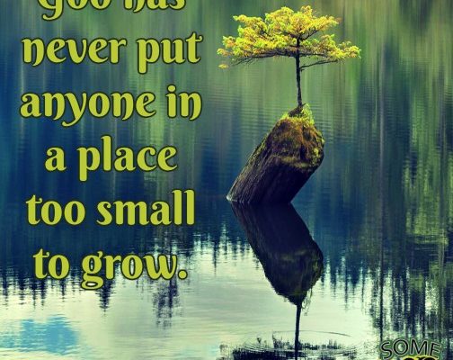 Quote Of The Day