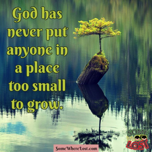 Quote Of The Day