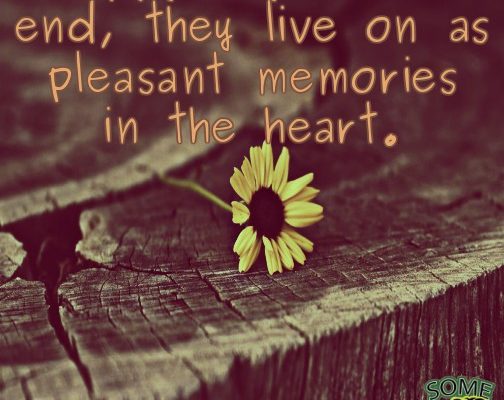 Quote Of The Day