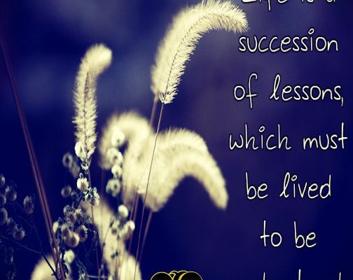 Quote Of The Day